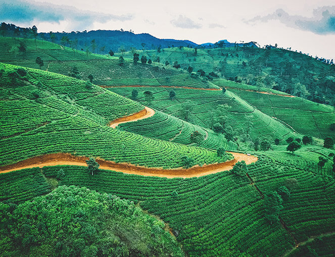 Sri Lanka